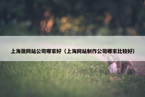 上海做网站公司哪家好（上海网站制作公司哪家比较好）