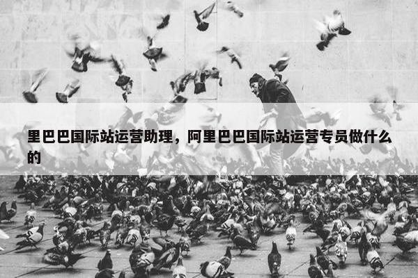 里巴巴国际站运营助理，阿里巴巴国际站运营专员做什么的