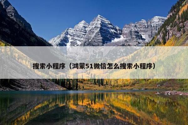 搜索小程序（鸿蒙51微信怎么搜索小程序）