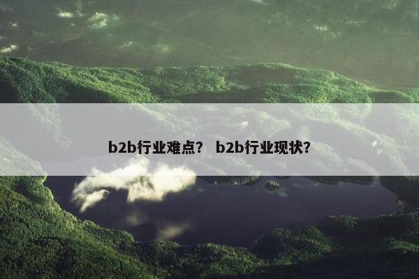 b2b行业难点？ b2b行业现状？