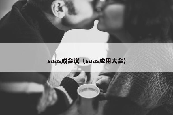 saas成会议（saas应用大会）