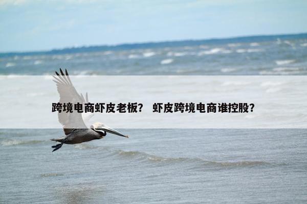 跨境电商虾皮老板？ 虾皮跨境电商谁控股？