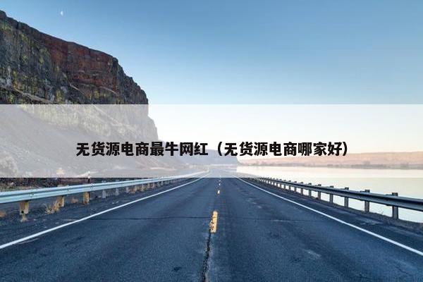 无货源电商最牛网红（无货源电商哪家好）