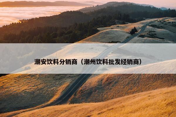 潮安饮料分销商（潮州饮料批发经销商）