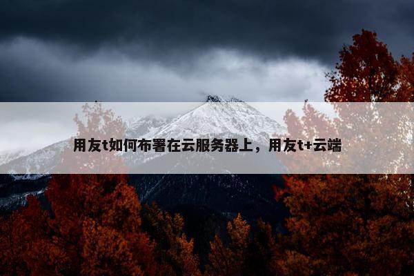 用友t如何布署在云服务器上，用友t+云端