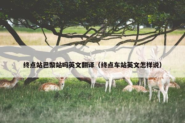 终点站巴黎站吗英文翻译（终点车站英文怎样说）