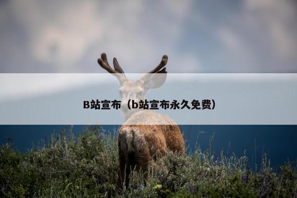 B站宣布（b站宣布永久免费）