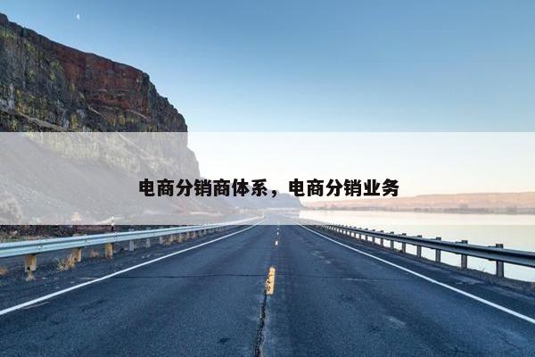 电商分销商体系，电商分销业务