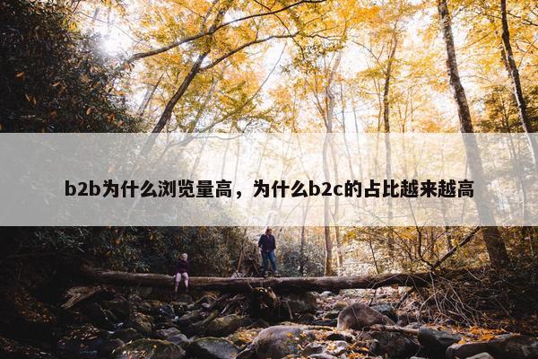 b2b为什么浏览量高，为什么b2c的占比越来越高