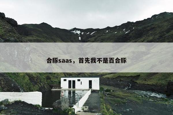 合豚saas，首先我不是百合豚