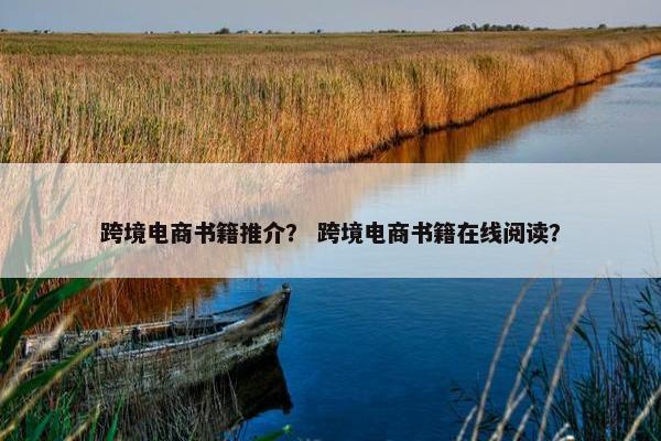 跨境电商书籍推介？ 跨境电商书籍在线阅读？