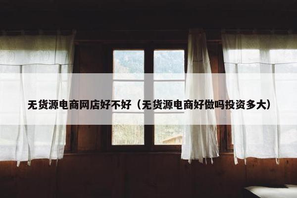 无货源电商网店好不好（无货源电商好做吗投资多大）