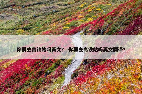 你要去高铁站吗英文？ 你要去高铁站吗英文翻译？