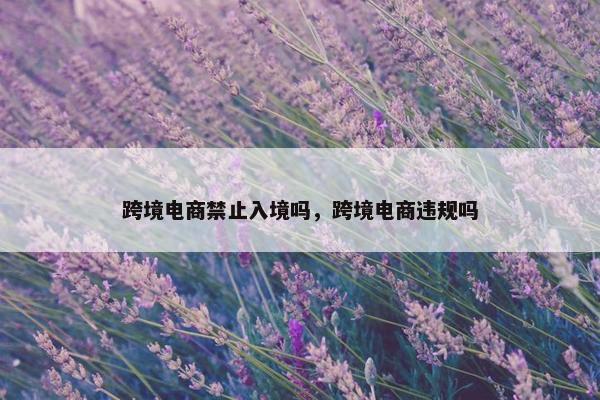 跨境电商禁止入境吗，跨境电商违规吗