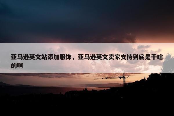亚马逊英文站添加服饰，亚马逊英文卖家支持到底是干啥的啊
