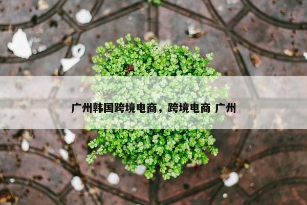 广州韩国跨境电商，跨境电商 广州