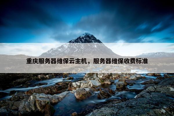 重庆服务器维保云主机，服务器维保收费标准