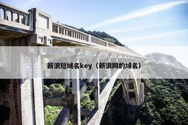 新浪短域名key（新浪网的域名）