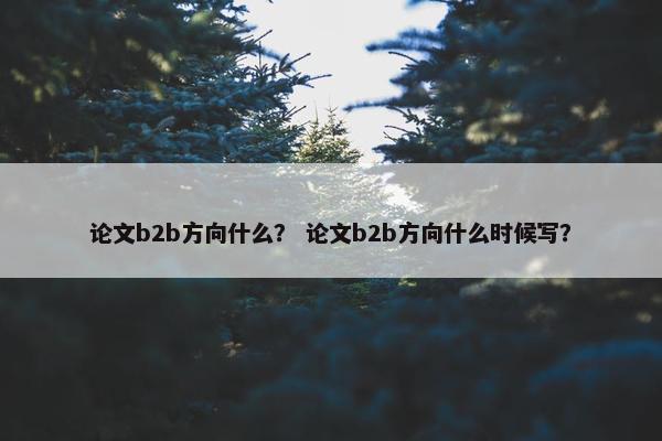论文b2b方向什么？ 论文b2b方向什么时候写？