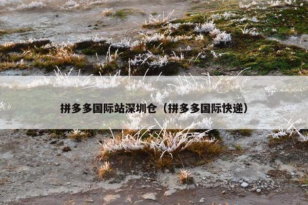 拼多多国际站深圳仓（拼多多国际快递）