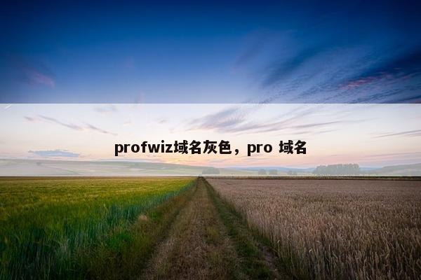 profwiz域名灰色，pro 域名