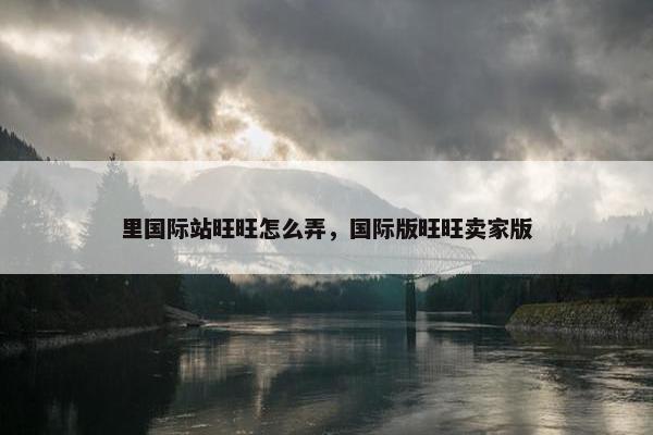 里国际站旺旺怎么弄，国际版旺旺卖家版