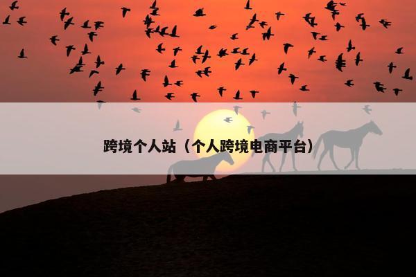 跨境个人站（个人跨境电商平台）