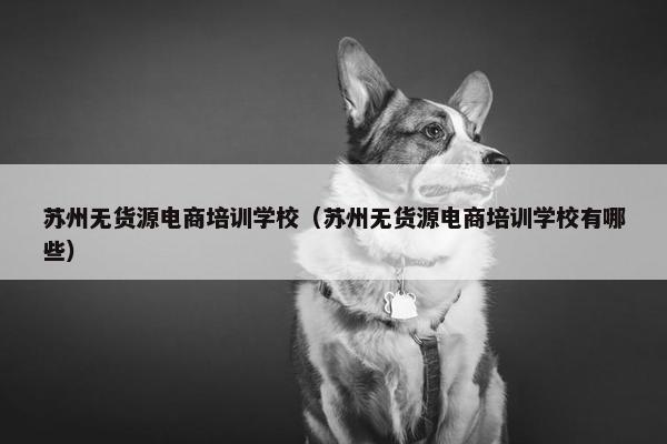 苏州无货源电商培训学校（苏州无货源电商培训学校有哪些）