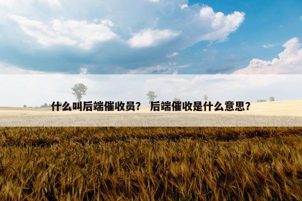 什么叫后端催收员？ 后端催收是什么意思？