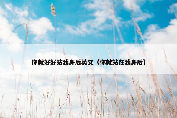 你就好好站我身后英文（你就站在我身后）