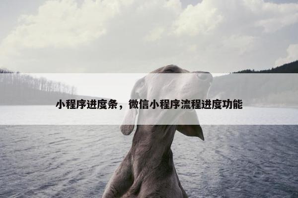 小程序进度条，微信小程序流程进度功能