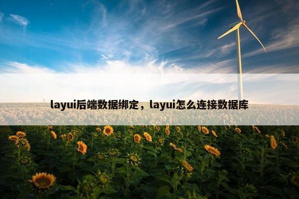 layui后端数据绑定，layui怎么连接数据库