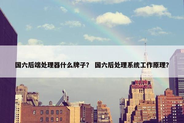 国六后端处理器什么牌子？ 国六后处理系统工作原理？