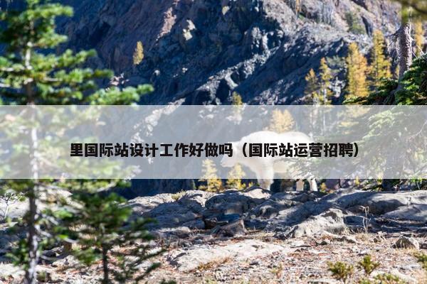 里国际站设计工作好做吗（国际站运营招聘）