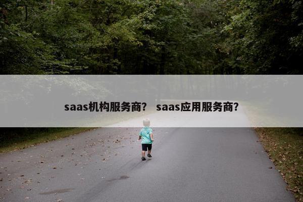 saas机构服务商？ saas应用服务商？