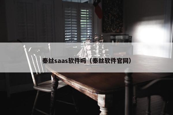 秦丝saas软件吗（秦丝软件官网）