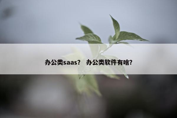 办公类saas？ 办公类软件有啥？