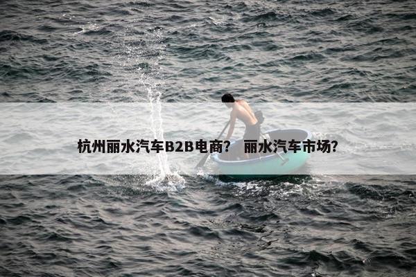 杭州丽水汽车B2B电商？ 丽水汽车市场？