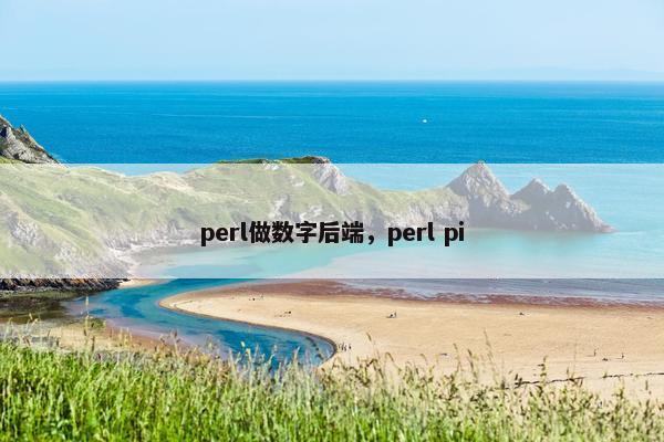 perl做数字后端，perl pi