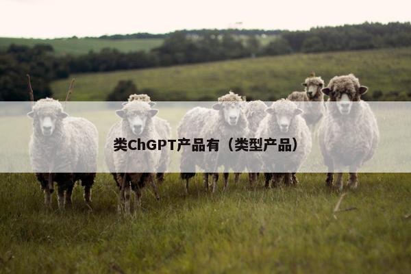 类ChGPT产品有（类型产品）