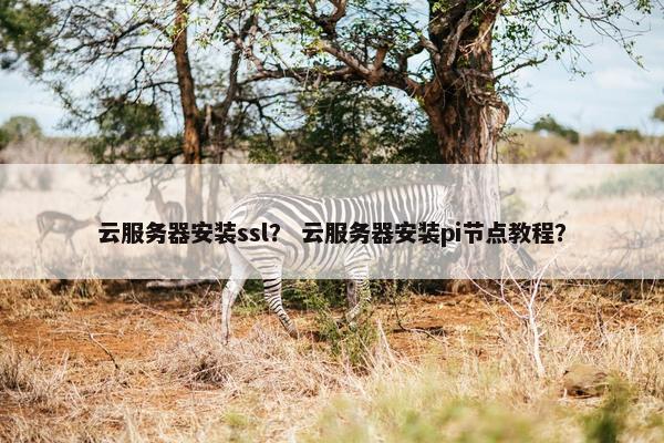 云服务器安装ssl？ 云服务器安装pi节点教程？