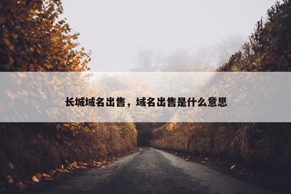 长城域名出售，域名出售是什么意思