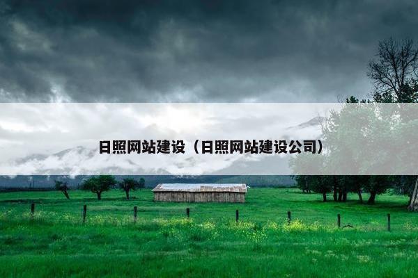 日照网站建设（日照网站建设公司）