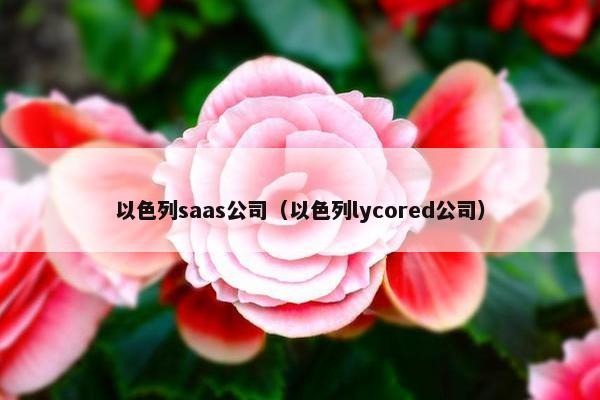 以色列saas公司（以色列lycored公司）