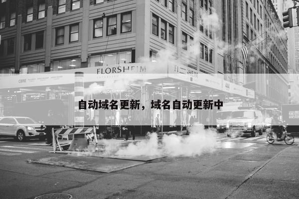 自动域名更新，域名自动更新中