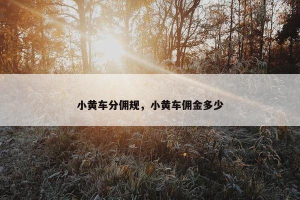 小黄车分佣规，小黄车佣金多少