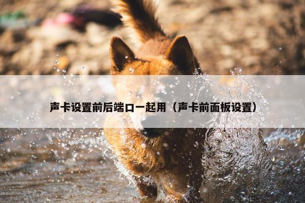 声卡设置前后端口一起用（声卡前面板设置）