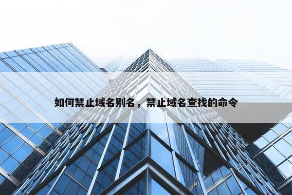 如何禁止域名别名，禁止域名查找的命令