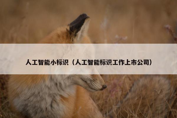 人工智能小标识（人工智能标识工作上市公司）