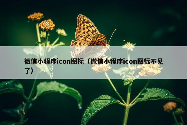 微信小程序icon图标（微信小程序icon图标不见了）